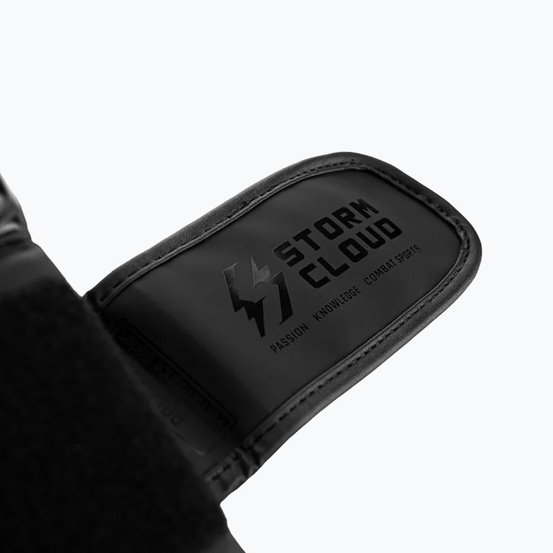 Mănuși de box StormCloud Bolt 3.0 black/black 10