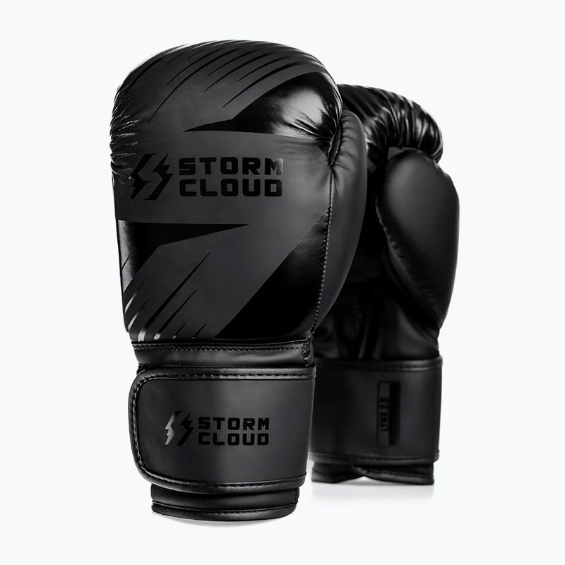 Mănuși de box StormCloud Lynx 2.0 black/black 2