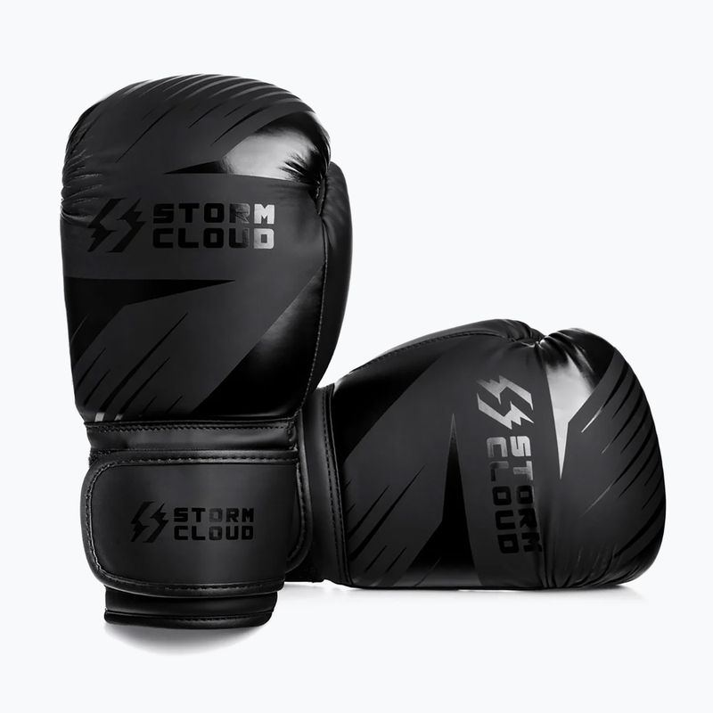 Mănuși de box StormCloud Lynx 2.0 black/black 3