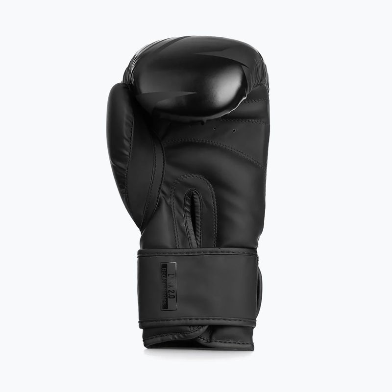 Mănuși de box StormCloud Lynx 2.0 black/black 5