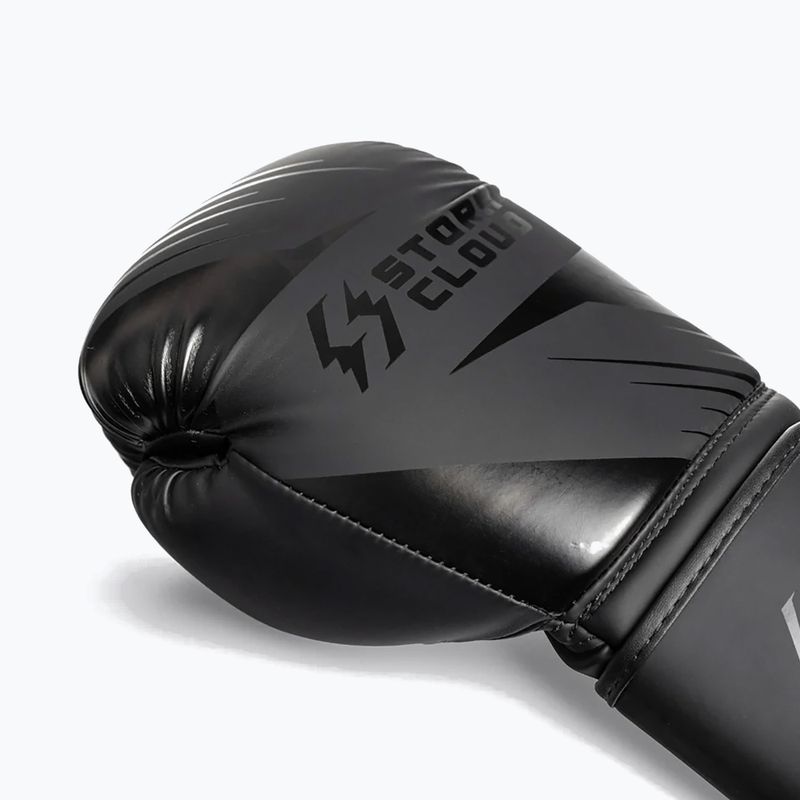 Mănuși de box StormCloud Lynx 2.0 black/black 6