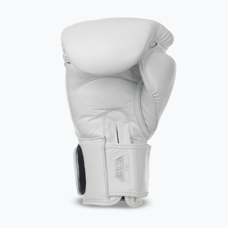 Mănuși de box StormCloud Muay Thai Blizzard 2.0 white/silver 3