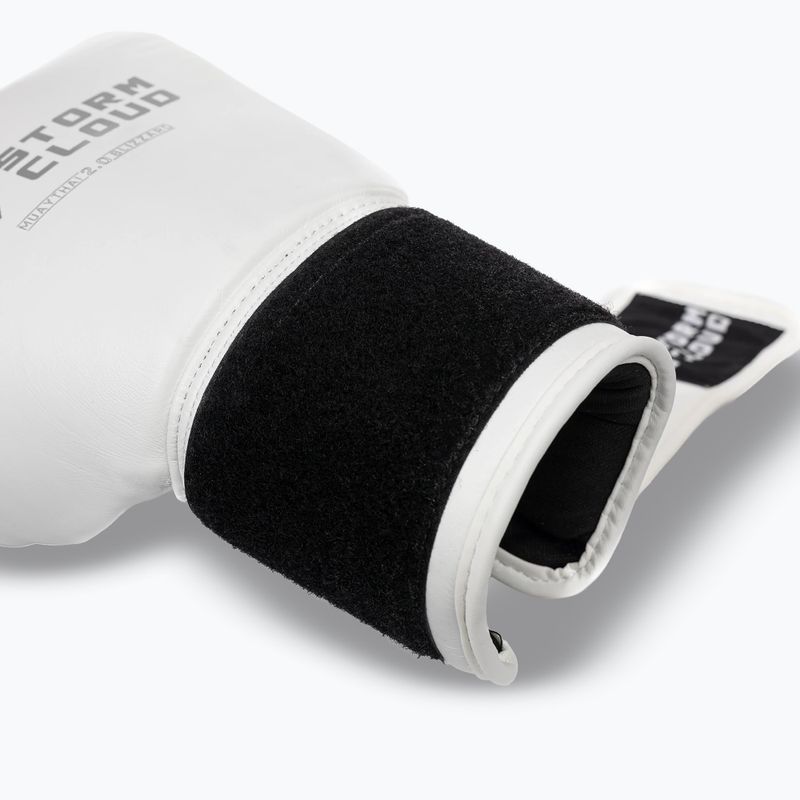 Mănuși de box StormCloud Muay Thai Blizzard 2.0 white/silver 7