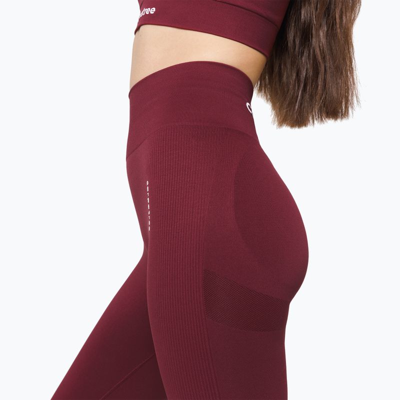 Colanți de antrenament pentru femei Carpatree Allure Seamless burgundy 4
