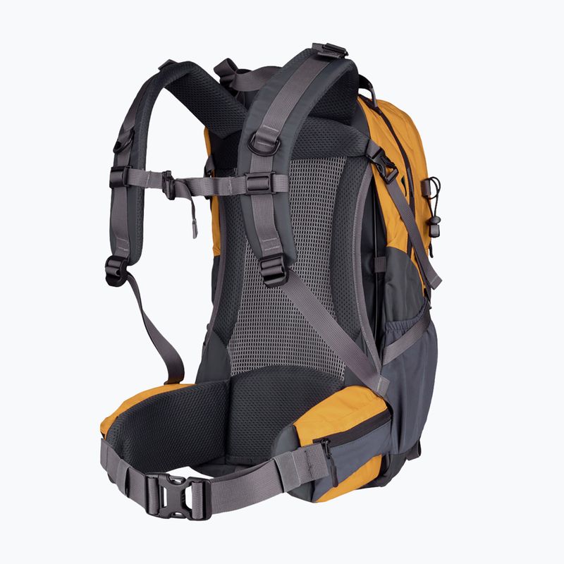 Rucsac de turism Alpinus Tarfala 35 l mustard 2