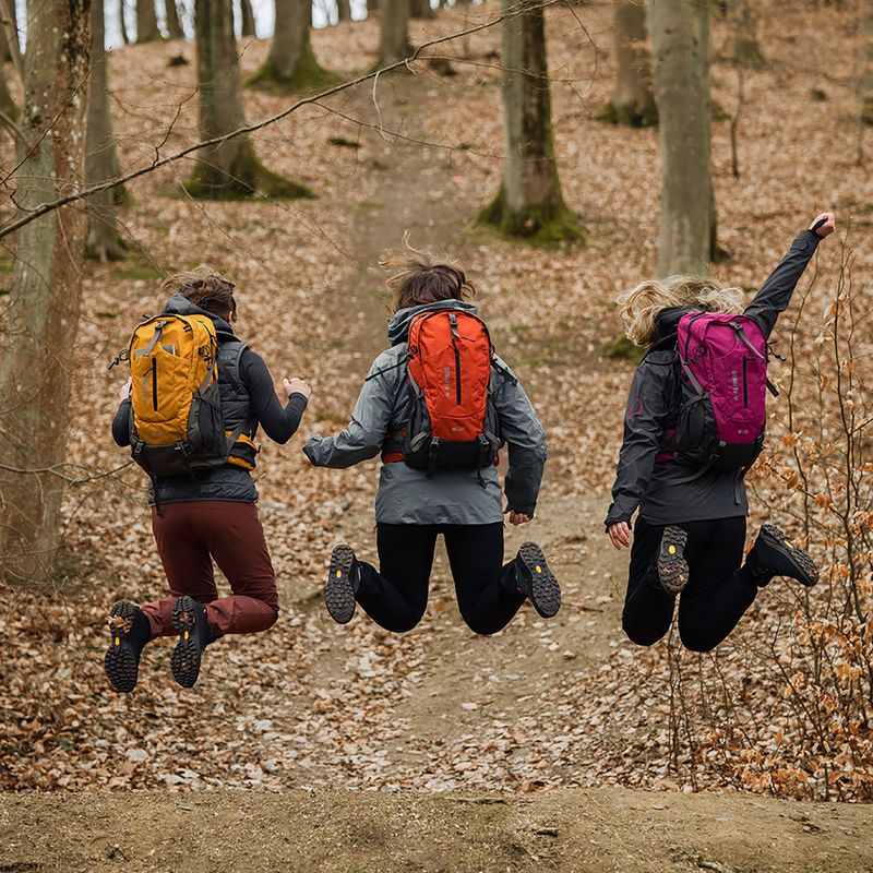 Rucsac de turism Alpinus Tarfala 35 l mustard 4