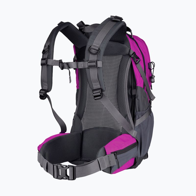 Rucsac de turism Alpinus Tarfala 35 l fuchsia 2