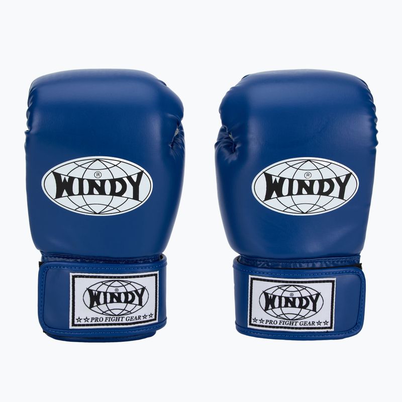 Mănuși de box WINDY Classic Synthetic Leather blue 2