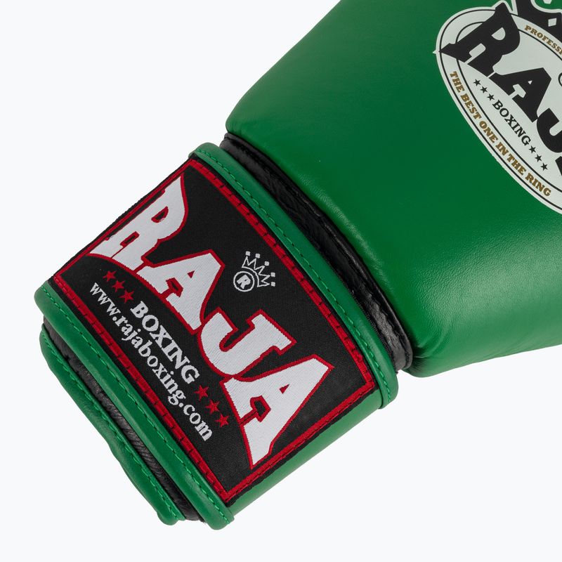 Mănuși de box RAJA BOXING Single Standard Genuine Leather green 6