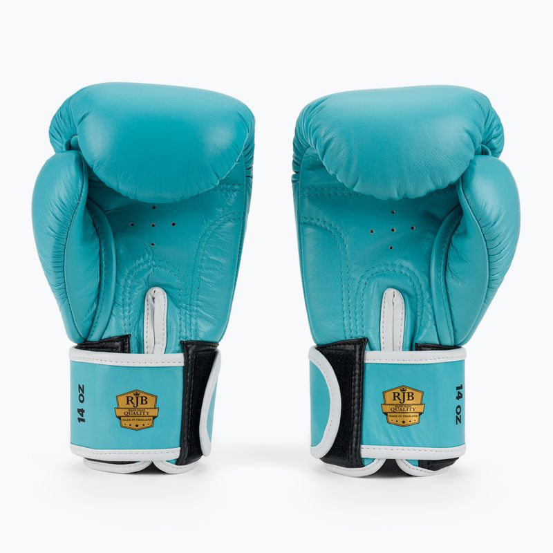 Mănuși de box RAJA BOXING Single Standard Genuine Leather light blue 3