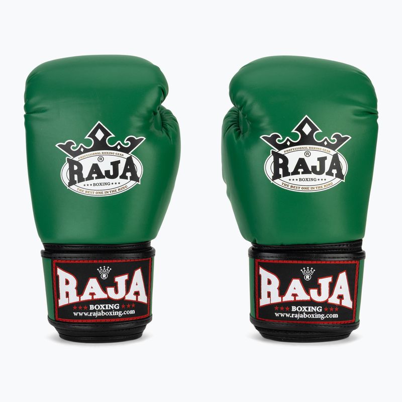 Mănuși de box RAJA BOXING Single Semi Leather green 2