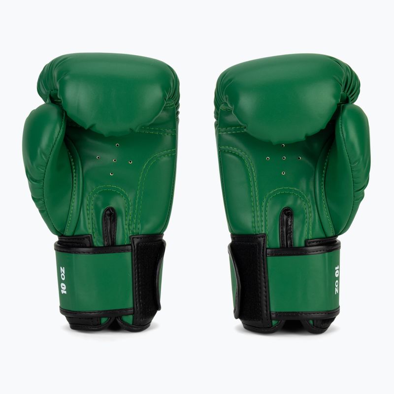Mănuși de box RAJA BOXING Single Semi Leather green 3