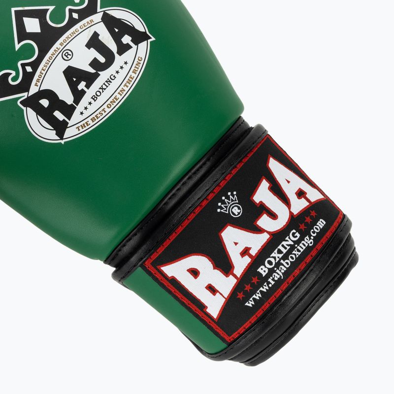 Mănuși de box RAJA BOXING Single Semi Leather green 6