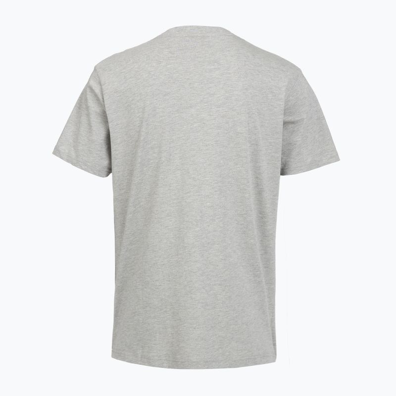 Tricou bărbați PROSTO Biglog gri 2