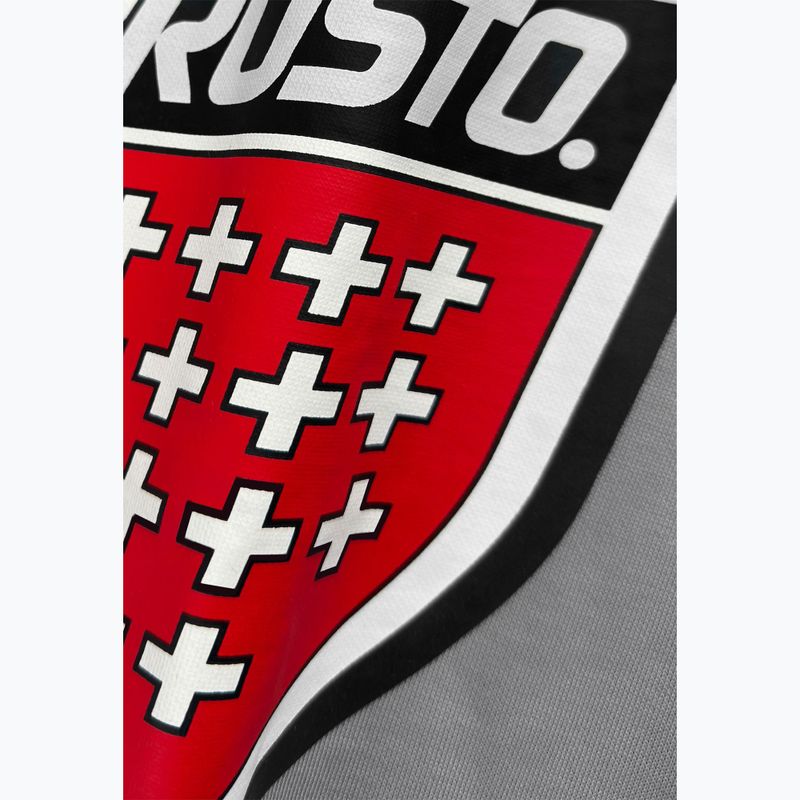 Bluză pentru bărbați PROSTO Big Shield Crewneck gray 3