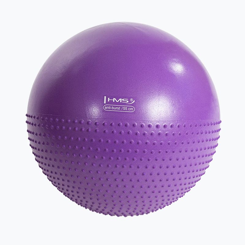 Minge de gimnastică HMS YB03 NEW 55 cm violet 2