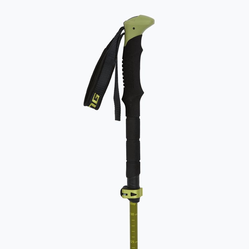 Bețe de trekking Viking Terve 2.0 green 2