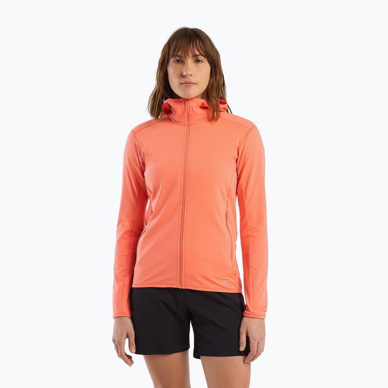 Hanorac de trekking pentru femei Arc'teryx Kyanite LT Hoody gri X000005692046