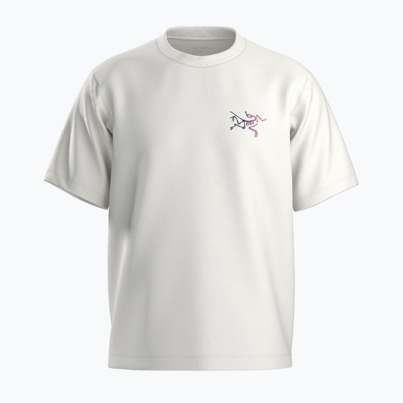 Tricou pentru bărbați  Arc'teryx Kragg Cotton Logo white light / soul