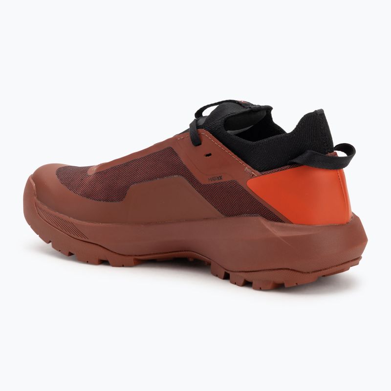 Încălțăminte de abordare pentru bărbați Arc'teryx Vertex Alpine dynasty / sequoia 3