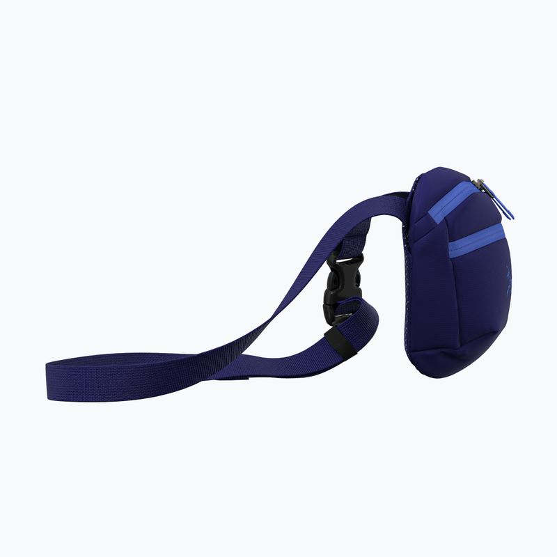 Borsetă Arc'teryx Mantis 1 1,5 l soulsonic / electra 4