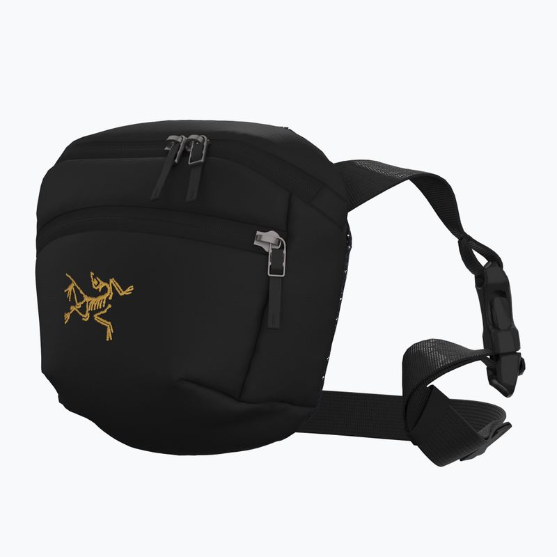 Borsetă Arcteryx Mantis 1 1,5 l 24k black 2