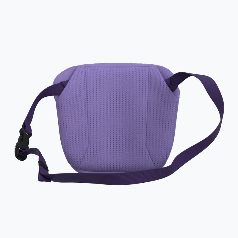 Borsetă Arc'teryx Mantis 2 2,5 l aster/azalea 3