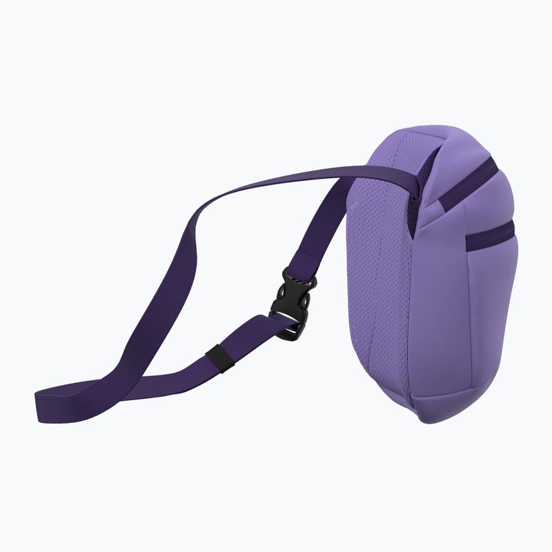 Borsetă Arc'teryx Mantis 2 2,5 l aster/azalea 4