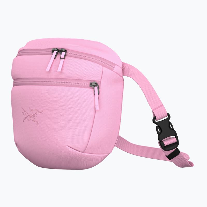 Borsetă Arcteryx Mantis 2 2,5 and pineberry 2