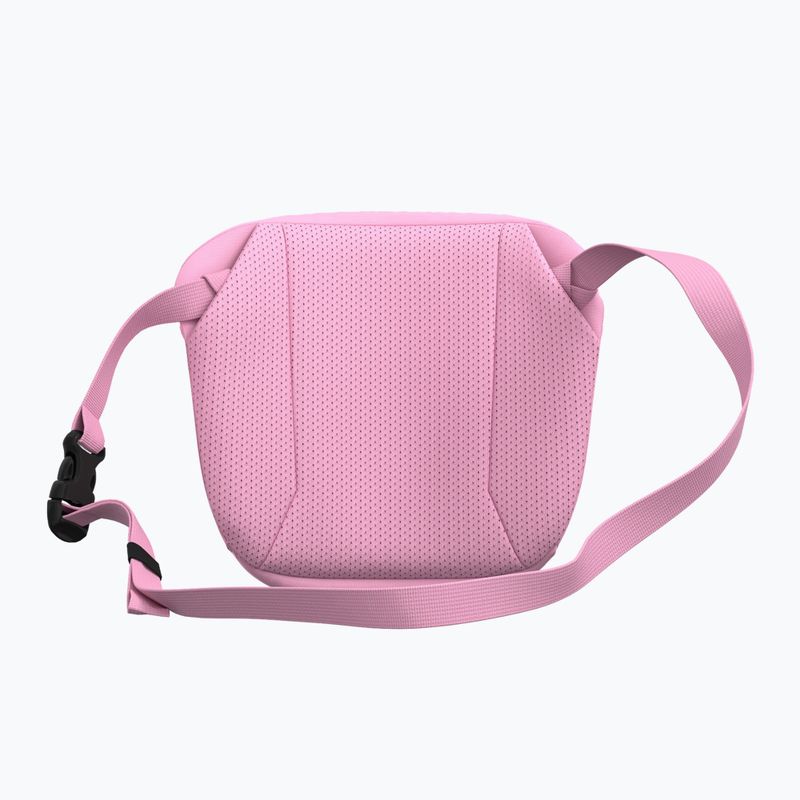 Borsetă Arc'teryx Mantis 2 2,5 and pineberry 3