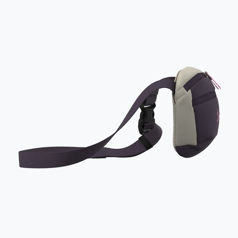 Borsetă Arcteryx Mantis 1 1,5 l 4