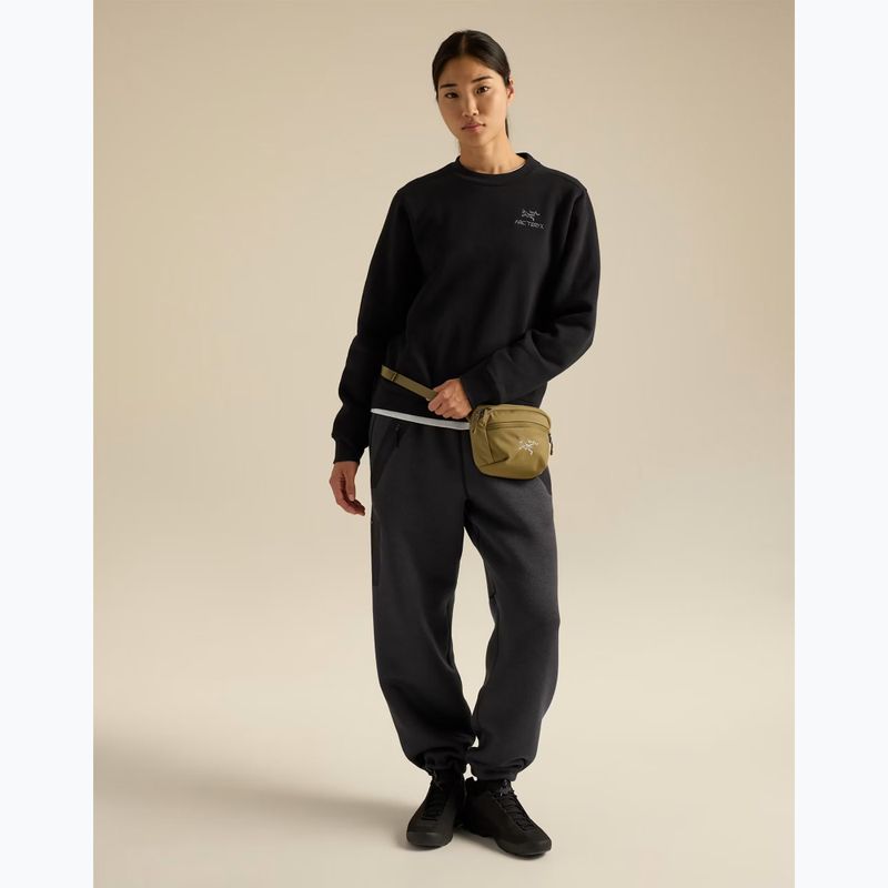 Borsetă Arcteryx Mantis 1 bracken 4