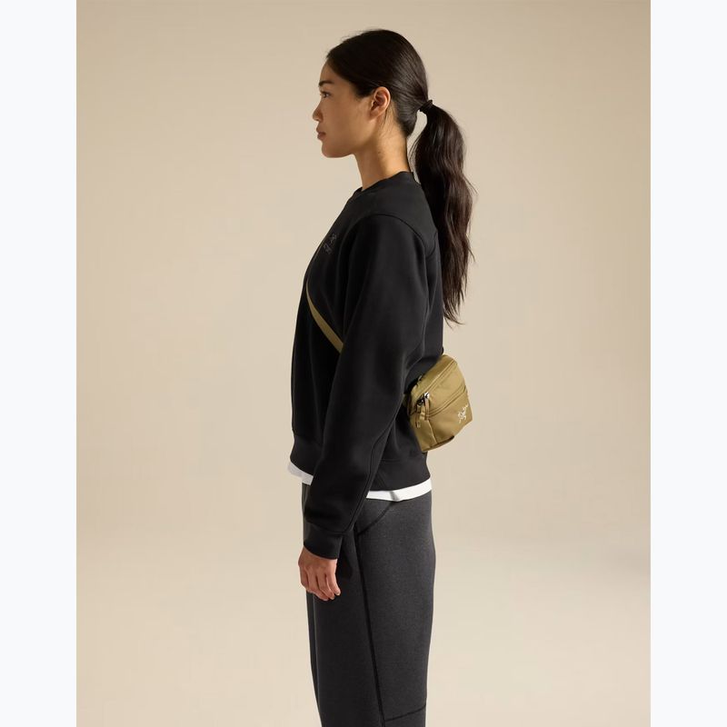 Borsetă Arcteryx Mantis 1 bracken 6