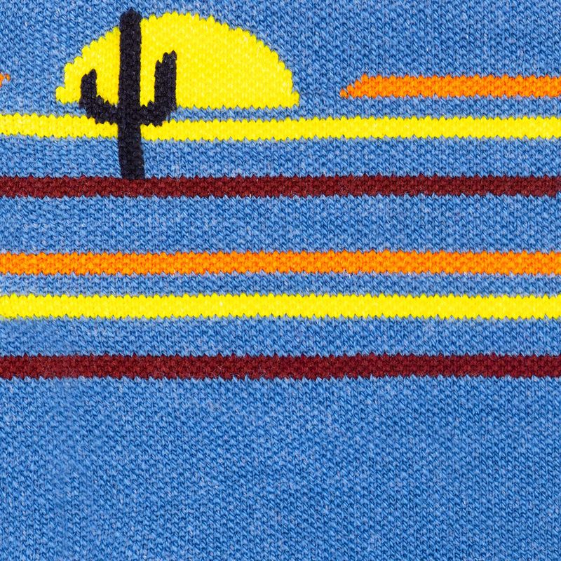 Șosete pentru bărbați Darn Tough Frontrunner Micro Crew Cushion surf 2