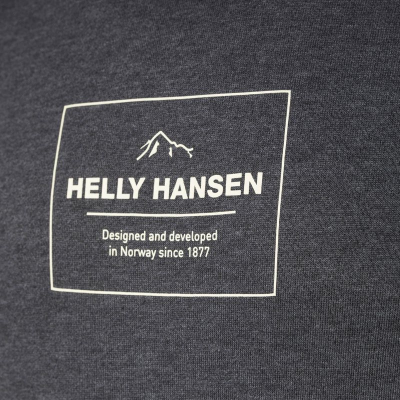 Hanorac de trekking pentru bărbați Helly Hansen F2F Hoodie din bumbac organic Helly Hansen F2F Hoodie ebony melange 3