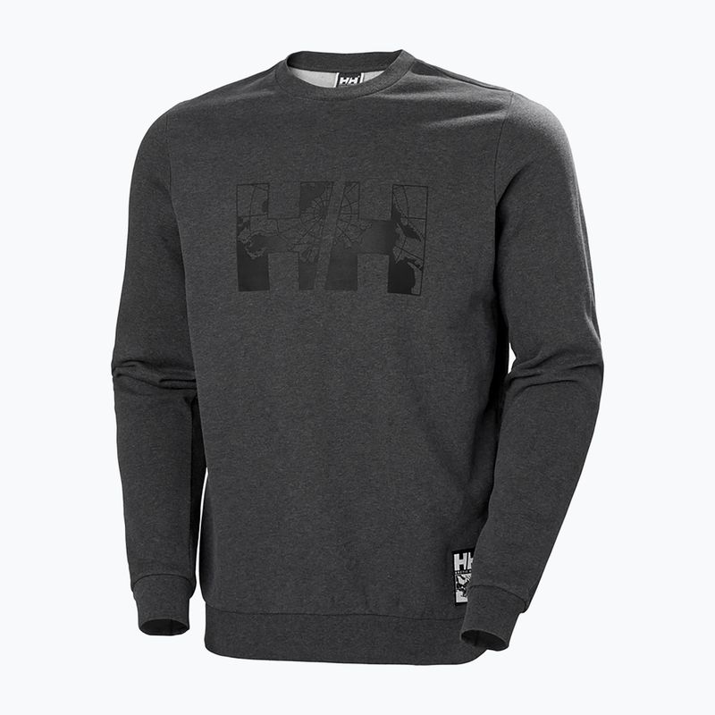 Bluză pentru bărbați Helly Hansen Arctic Ocean Sweater gri 30364_980