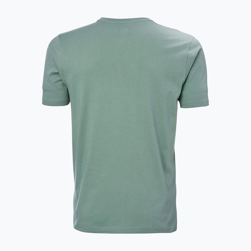Tricou pentru bărbați Helly Hansen HH Logo cactus 5