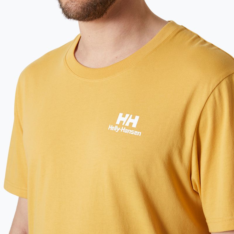 Tricou pentru bărbați Helly Hansen Nord Graphic sand 3