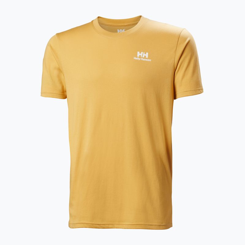 Tricou pentru bărbați Helly Hansen Nord Graphic sand 4