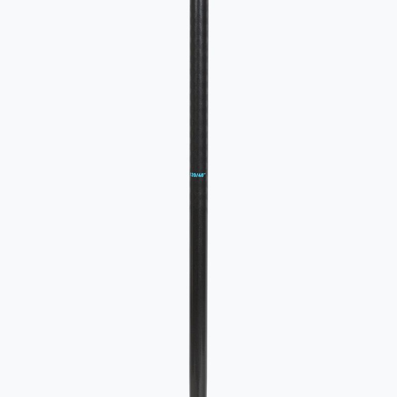 Bețe de schi HEAD Frontside carbon black/speed blue 4