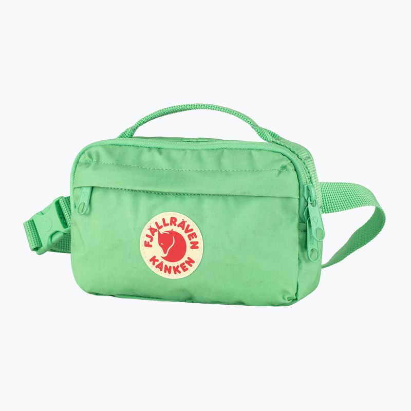 Fjällräven Kanken 663 mărul menta rinichi sac de rinichi 2