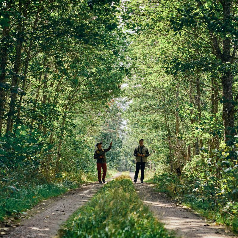 Pantaloni de trekking pentru bărbați Pinewood Caribou TC Extreme moss green/black 6