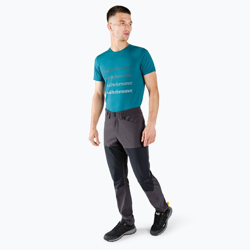 Pantaloni de trekking pentru bărbați Peak Performance Iconiq negru G77106050 2