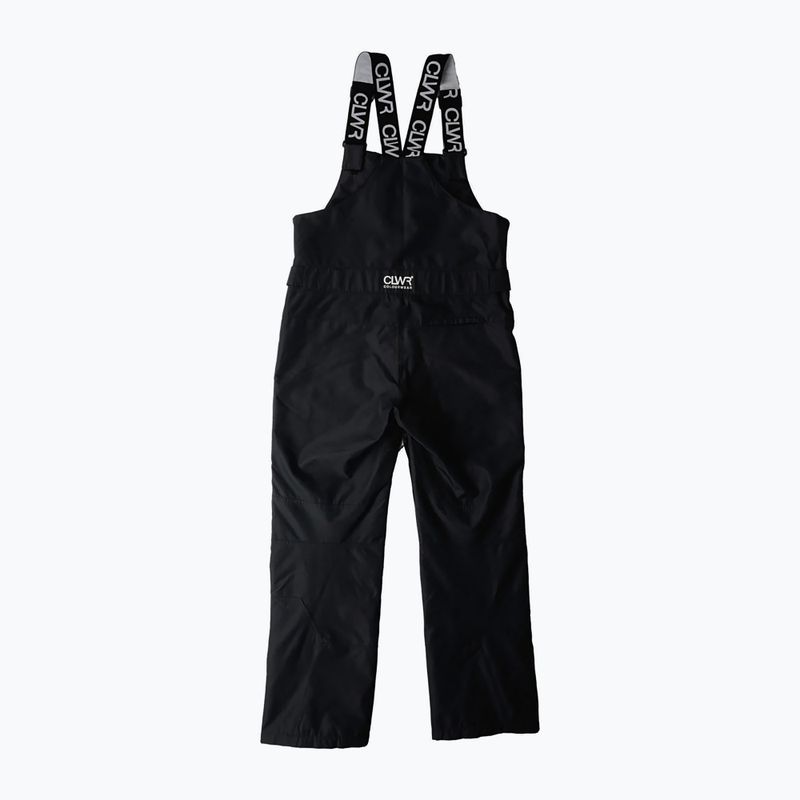 Pantaloni de snowboard pentru bărbați Colourwear Slash Bib black 11