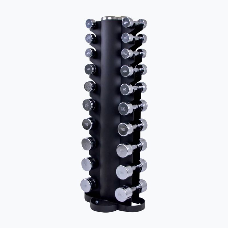 Life Fitness set de gantere cromate cu suport 1-10 kg argint LMX80.TD