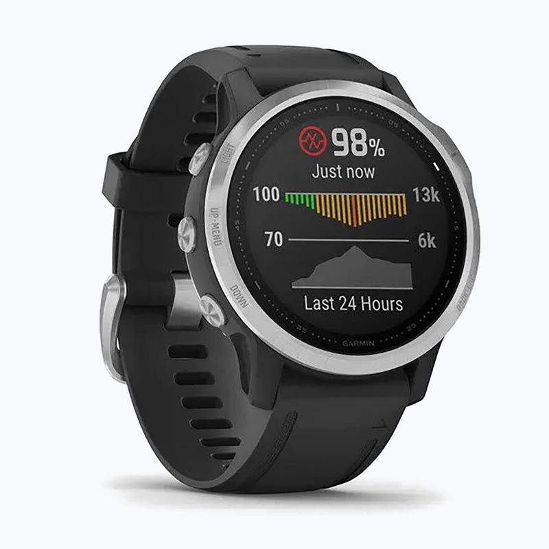 Ceas sport Garmin Fenix 6S, negru, 010-02159-01 3