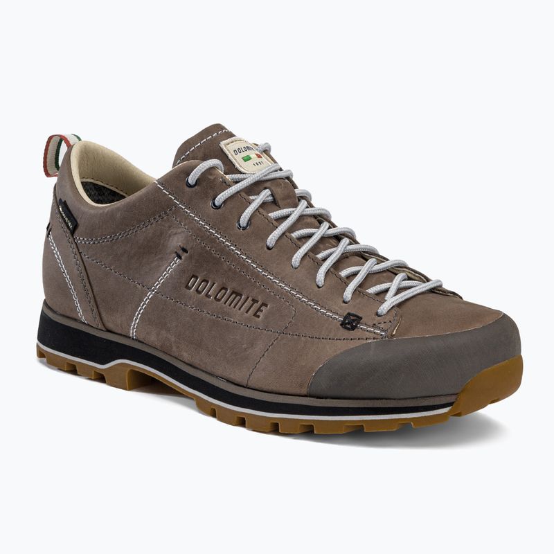 Bărbați Dolomite 54 Low FG GTX cizme de trekking maro 247959-1927 10