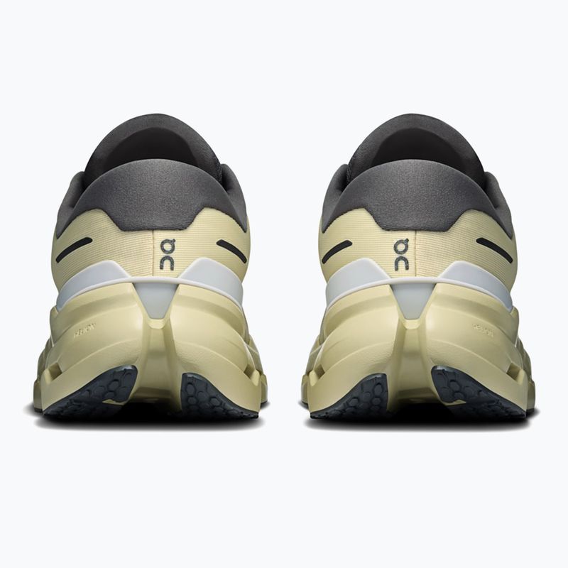 Încălțăminte de alergare pentru bărbați On Cloudrunner 3 Waterproof pollen/haze 4