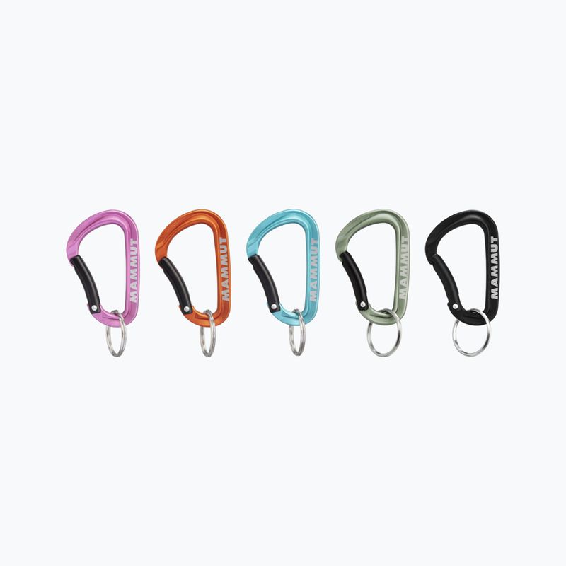 Mammut Mini Carabiner Classic Keylock S 9000 colorat
