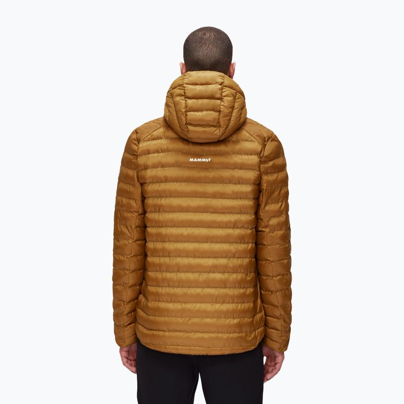 MAMMUT jachetă pentru bărbați Albula IN gold 1013-01781 2